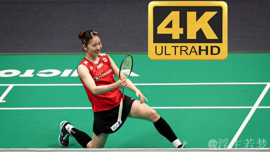 苏迪曼杯小组赛:日本对阵马来西亚第三场比赛 苏迪曼杯小组赛:日本对阵马来西亚第三场比赛